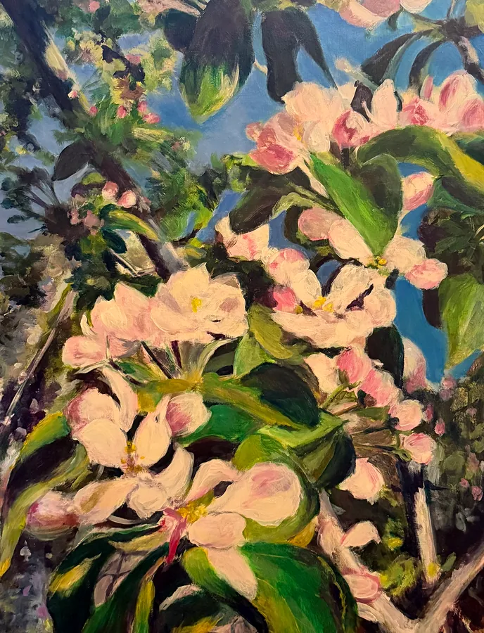 « Pommier en fleurs », huile sur toile de Geneviève Réal